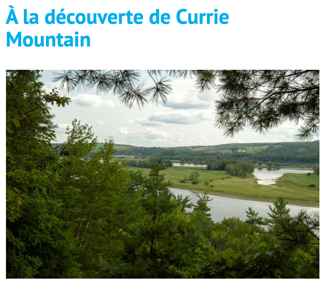 Article de blog - Currie Mountain