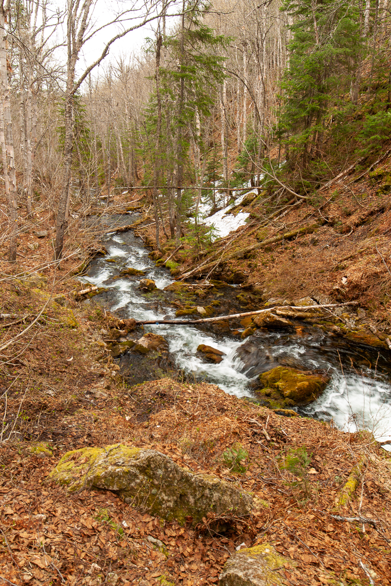 Dry Brook Valley