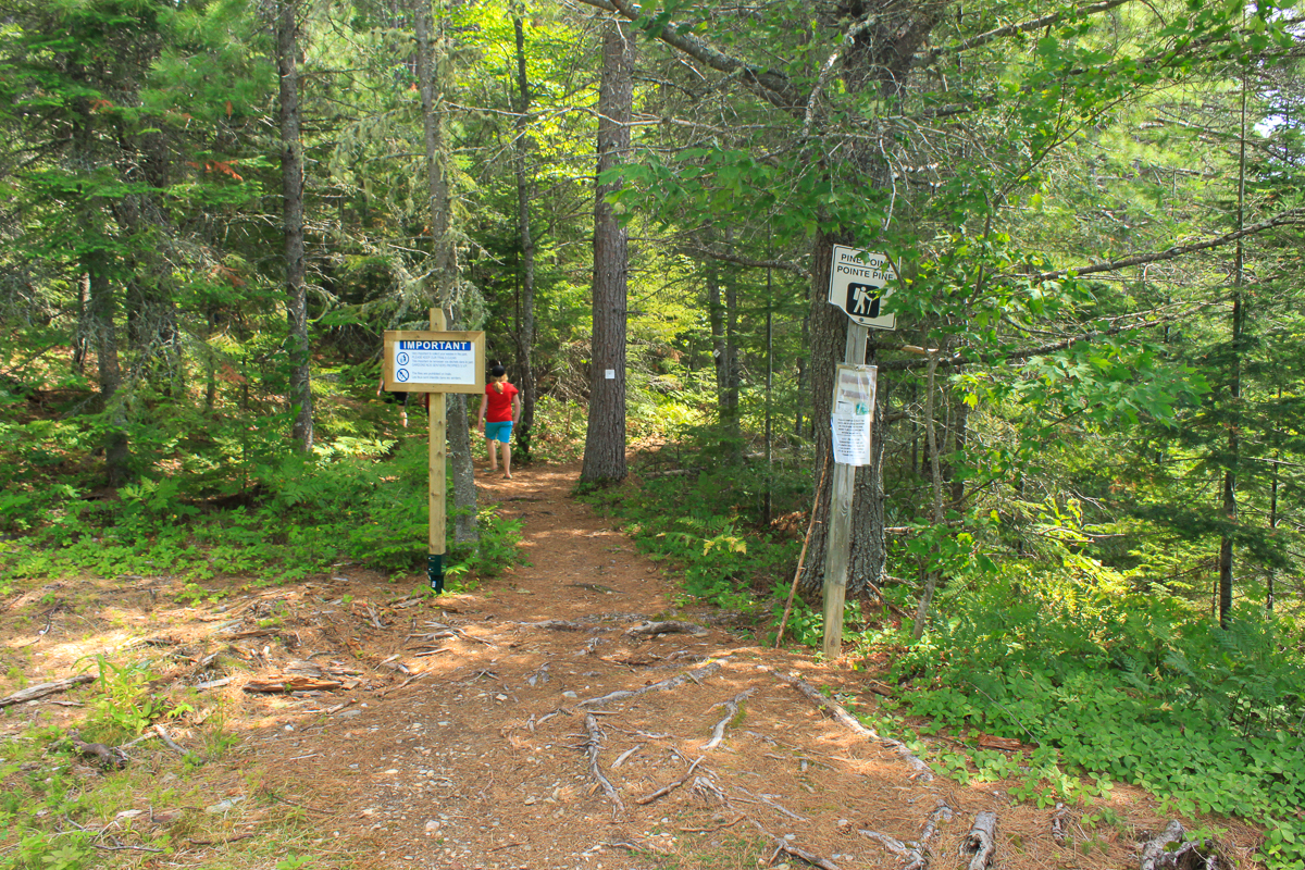 Trailhead for the Pine Point Trail