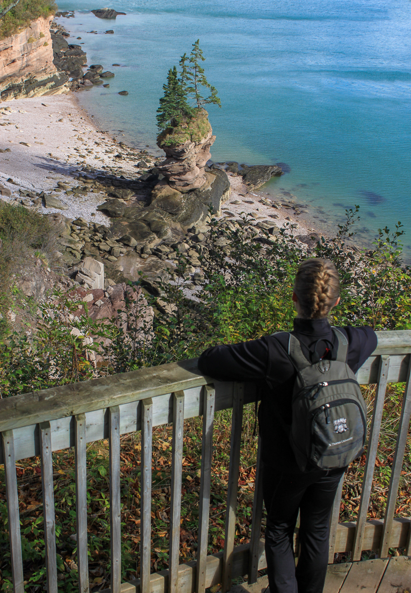 Pot Rock Scenic Footpath pictures