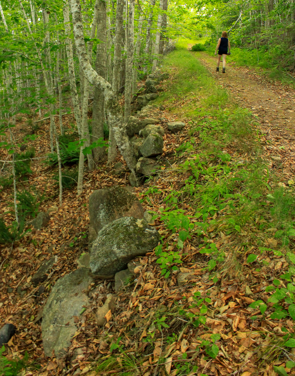 Un chemin stabilisé avec des pierres