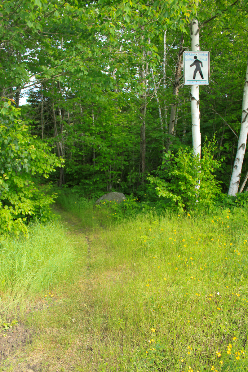 Sign for McAdam Trail