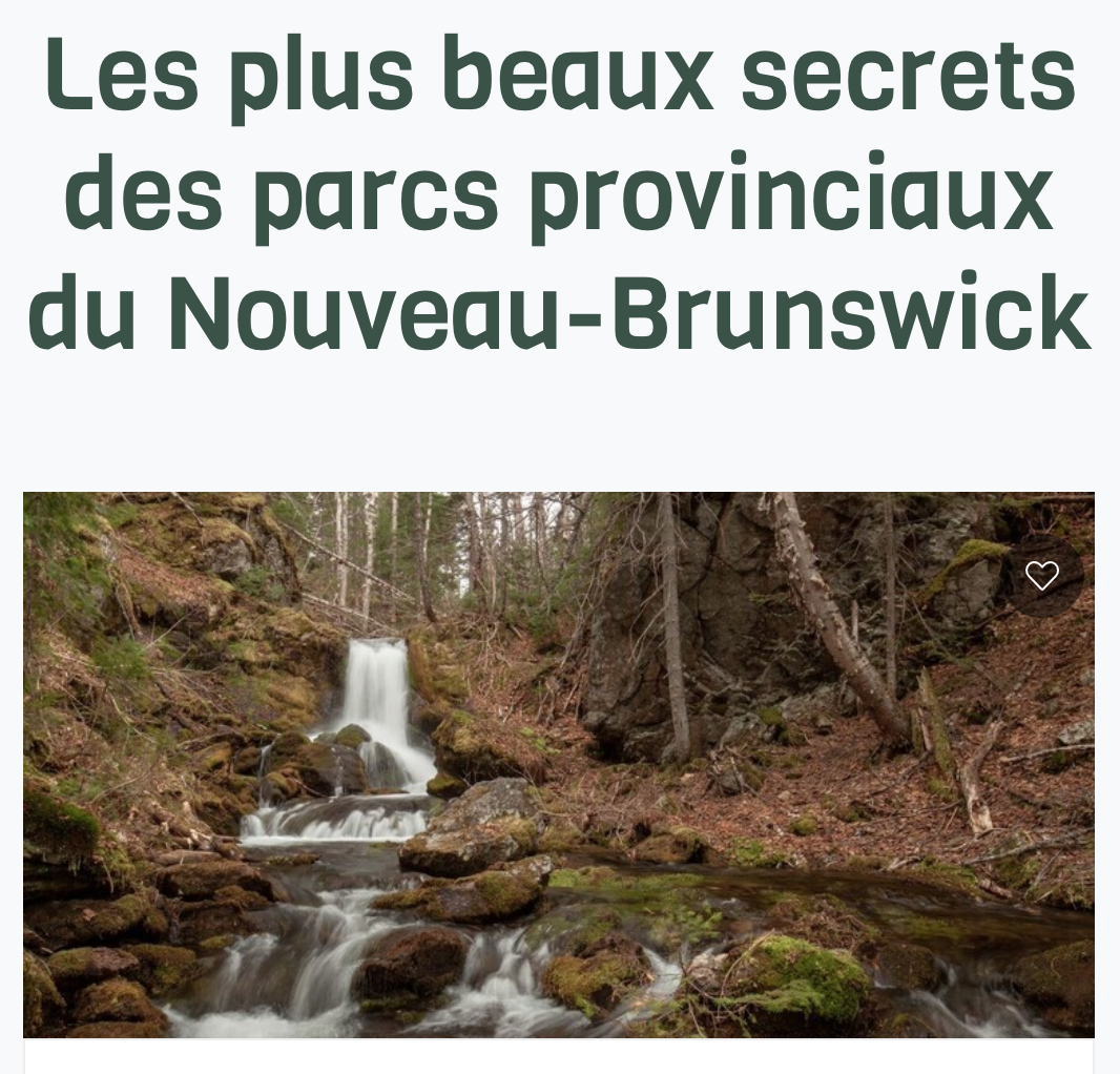 Article de blog - Les plus beaux secrets des parcs provinciaux du Nouveau-Brunswick