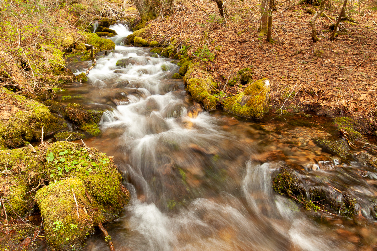 Ruisseau Big