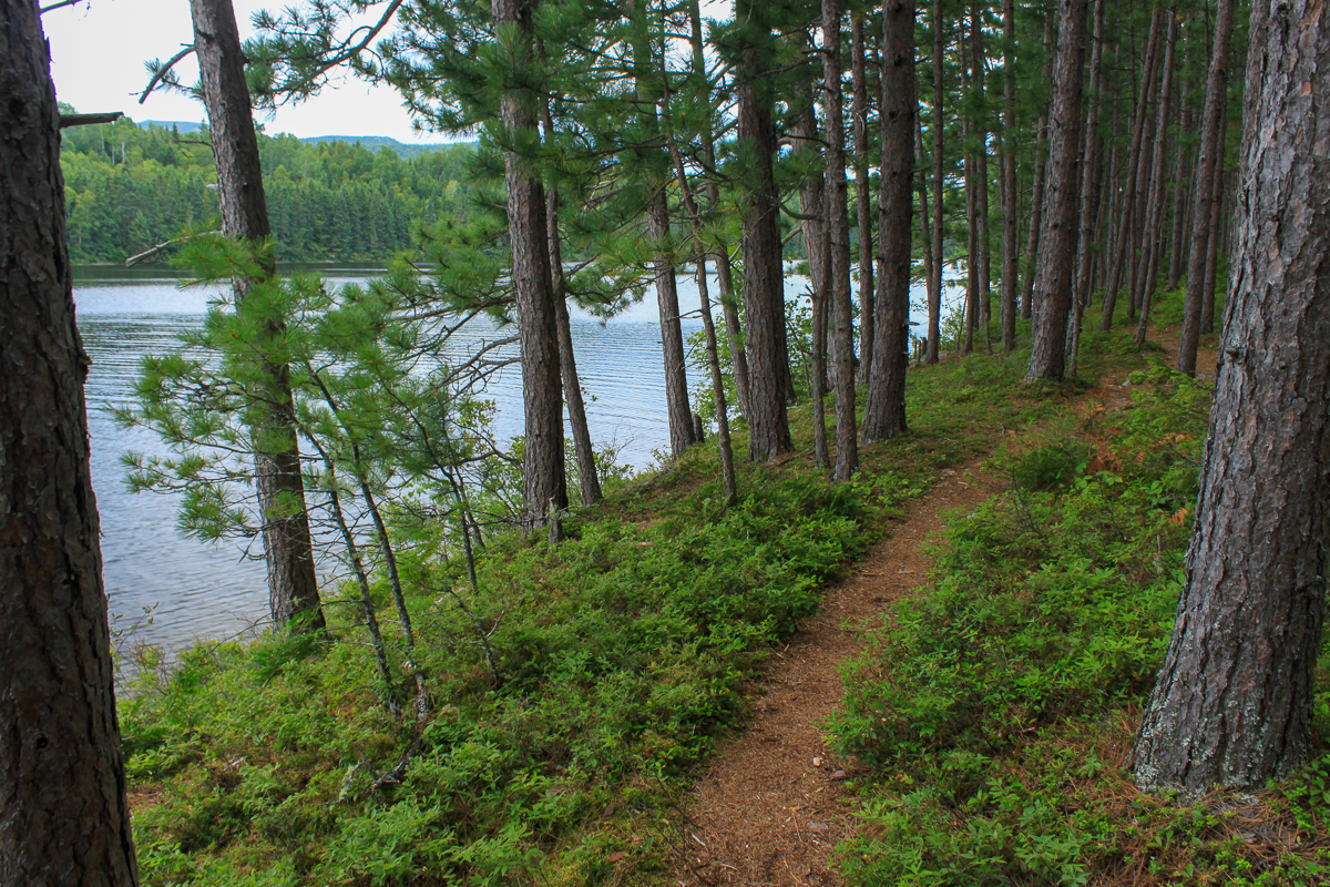 Pine Point Trail