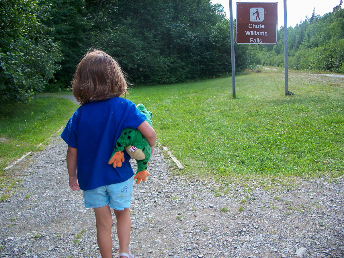 Start of the Williams Falls Trail