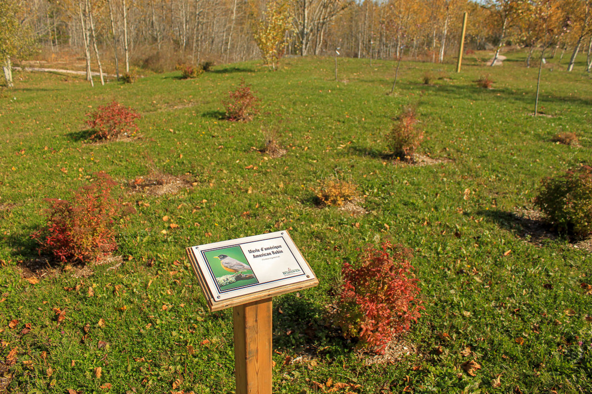 Interpretive sign on the Botanical Garden Trail