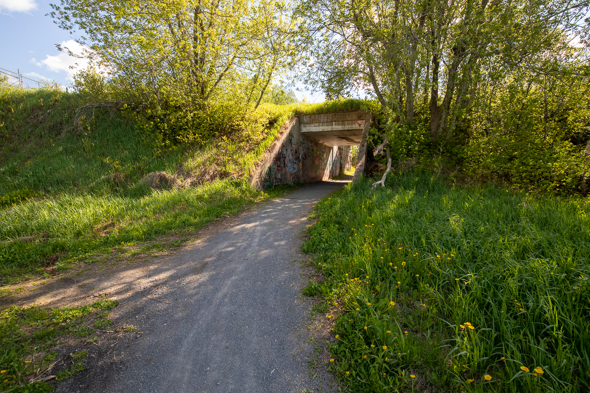 Tunnel on the West Bathurst Trails