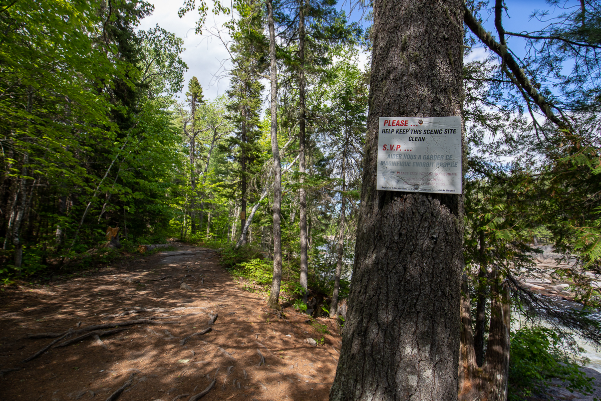 The beginning of the trail