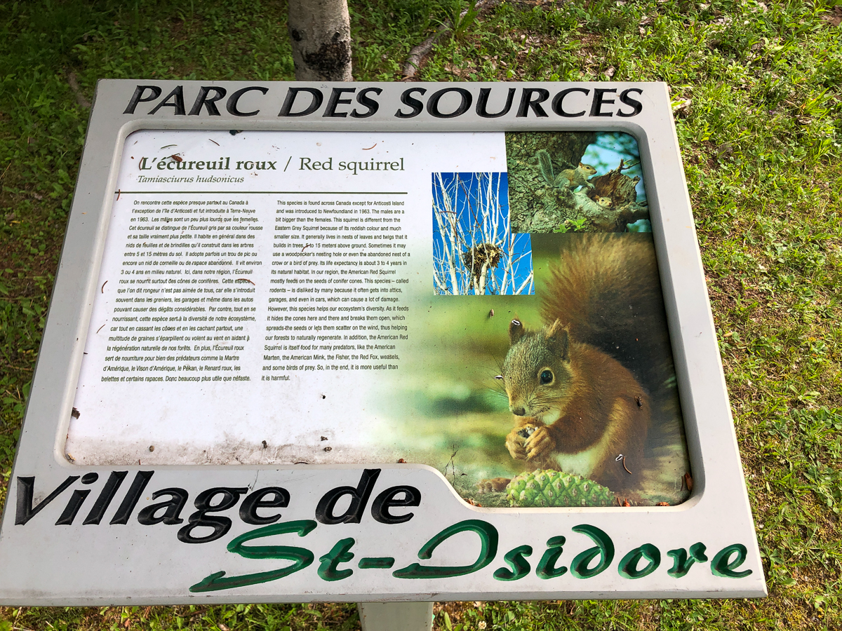 Red Squirrel sign