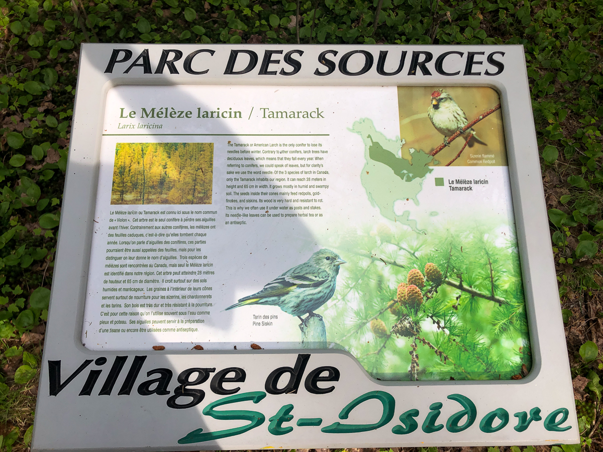 Tamarack sign