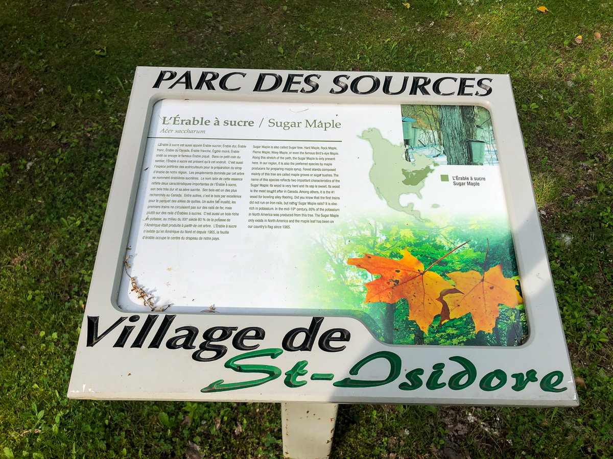 Sugar Maple sign