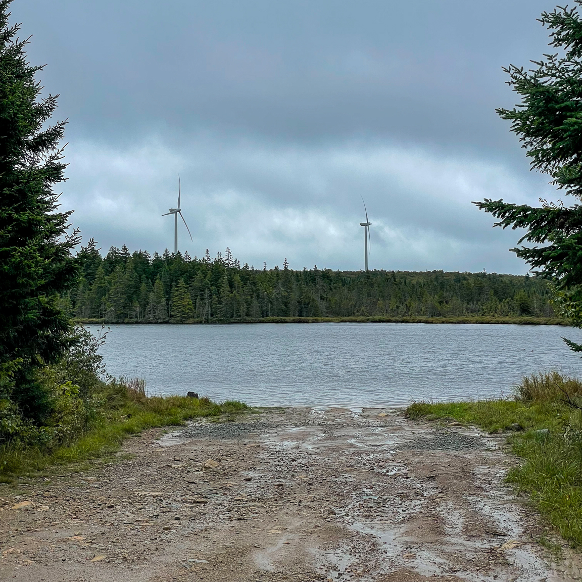 Blackwood Lake on the Dobson Trail