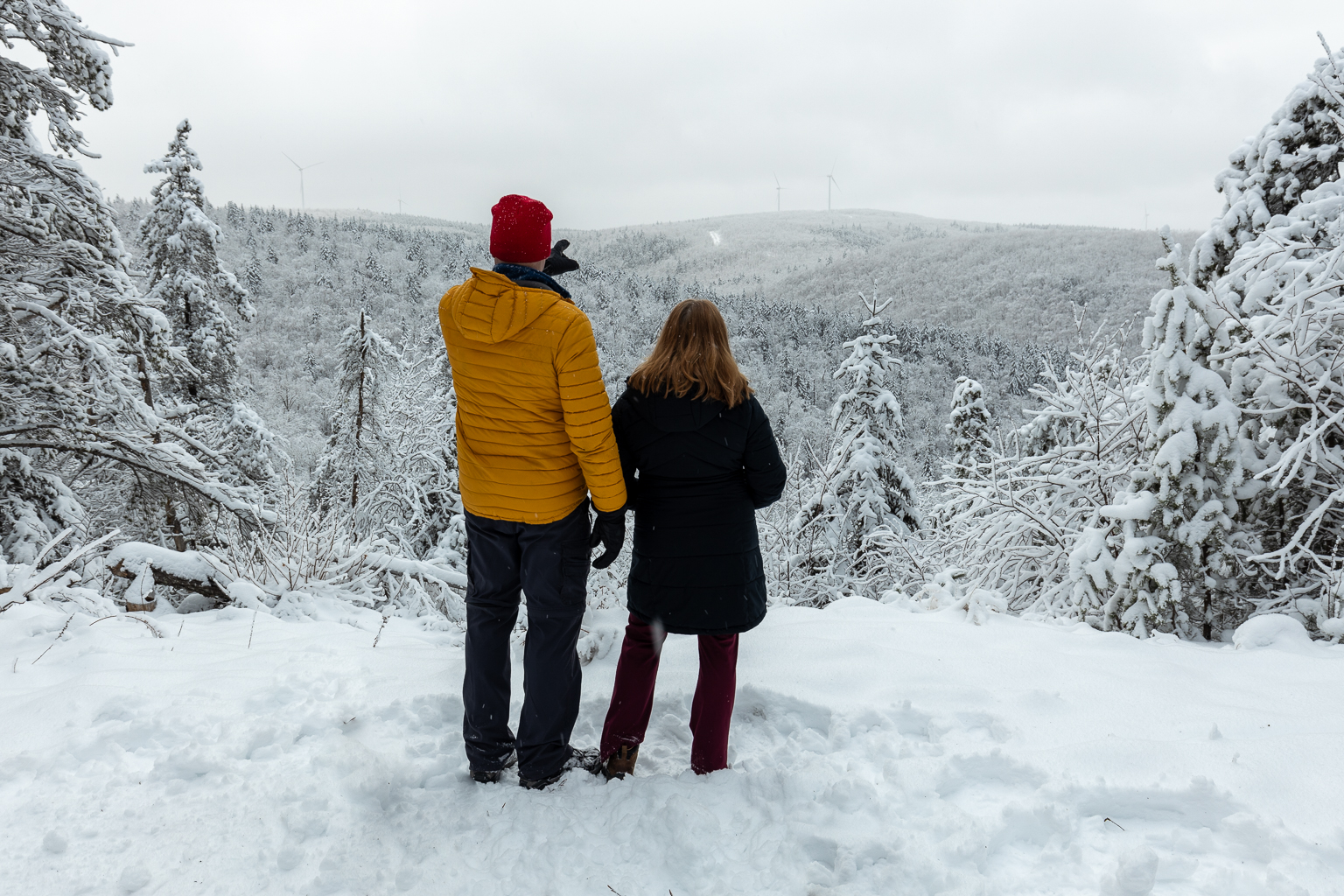 Prosser Ridge Lookout