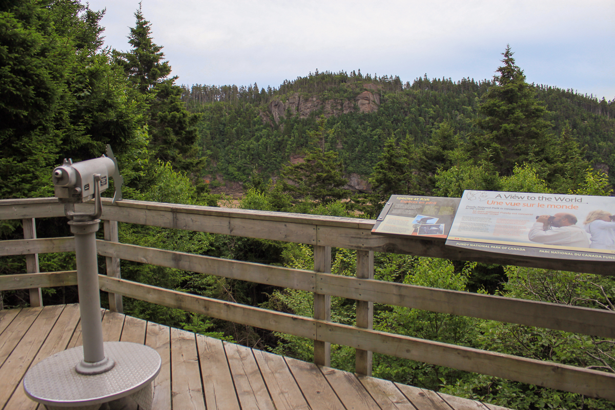 A View to the World sign at Point Wolfe at Fundy National Park