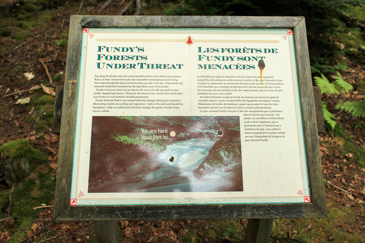 Fundy's Forest Under Threat sign at Point Wolfe at Fundy National Park