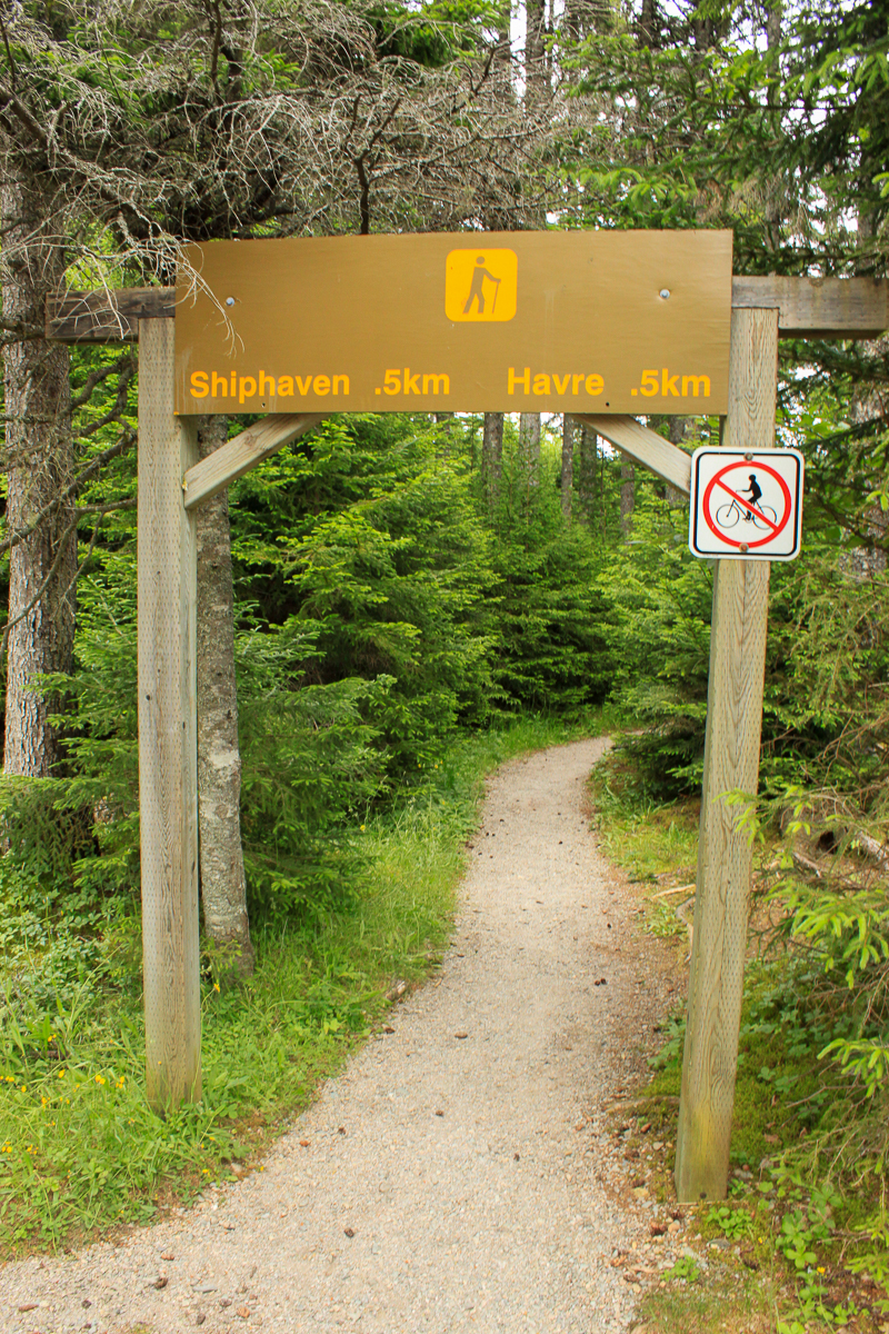 Shiphaven Trailhead at Fundy National Park