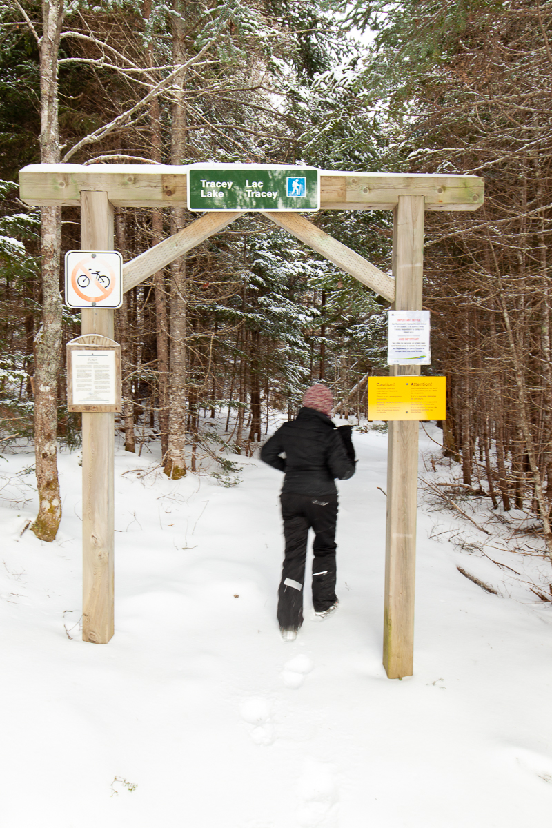 Trailhead for Tracey Lake Trail at Fundy National Park