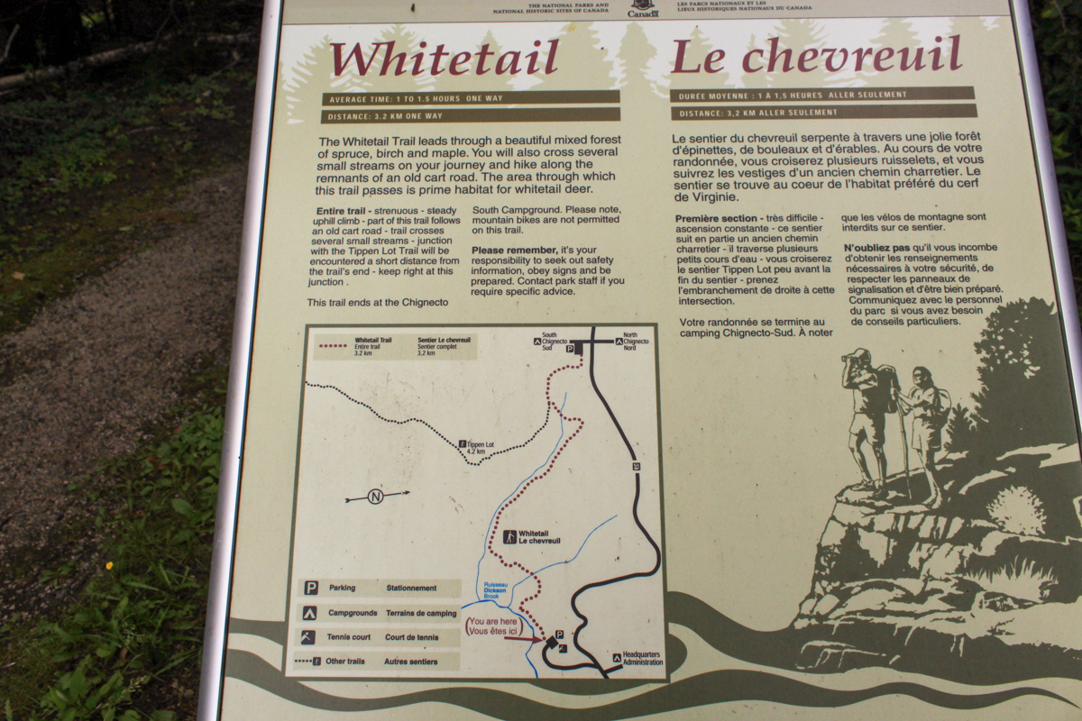 Whitetail Trail sign