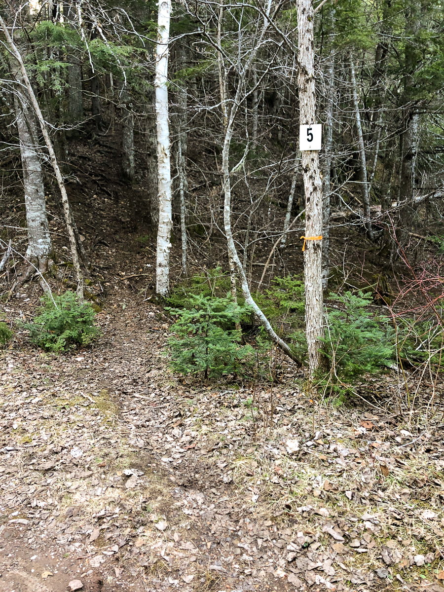 The start of the Roots Trail at White Rock Recreation Area