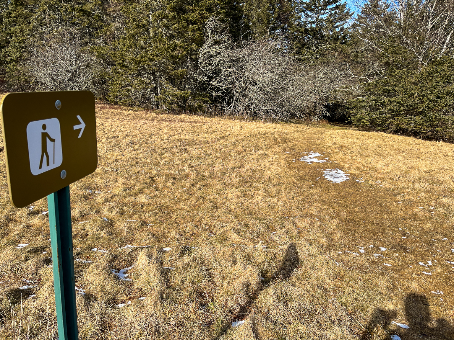 The trail to Friar's Head and Friar's Bay Beach