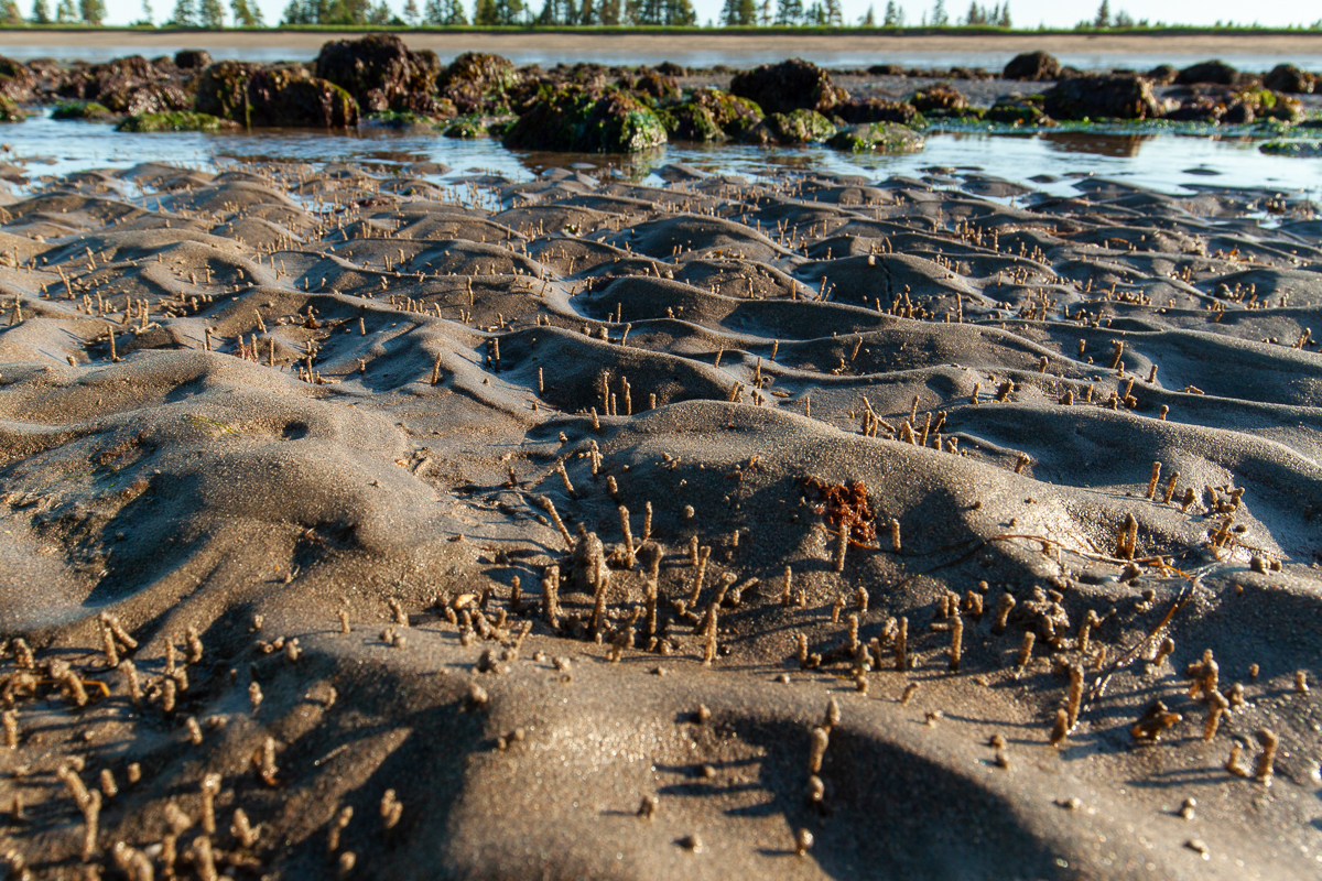 Cheminées de sable sur la plage Anchorage