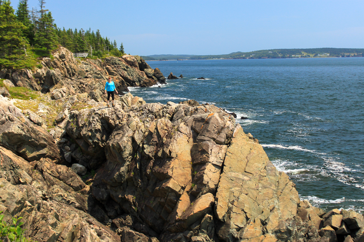 Barnaby Head lookout at New River Beach Provincial Park Gallery