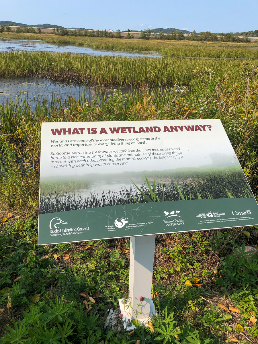 What is a Wetland sign