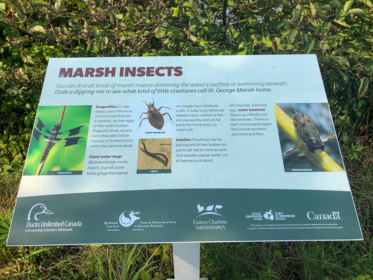 Marsh Insects sign