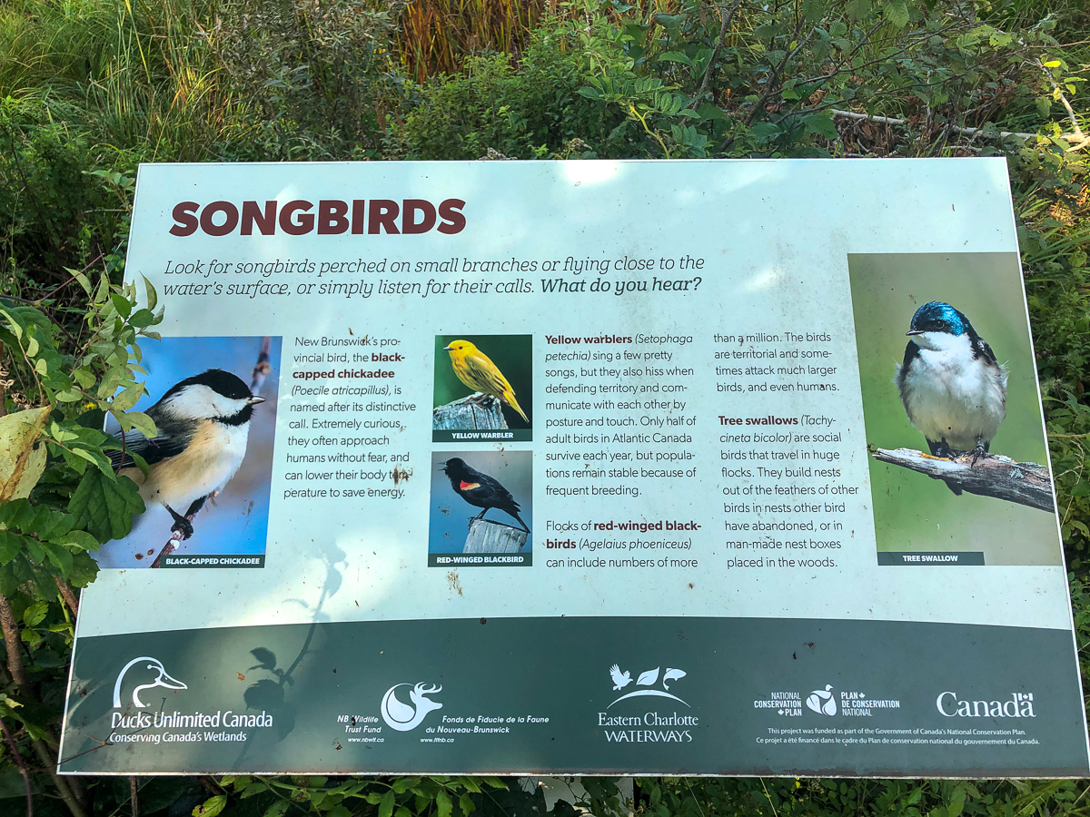 Songbirds sign
