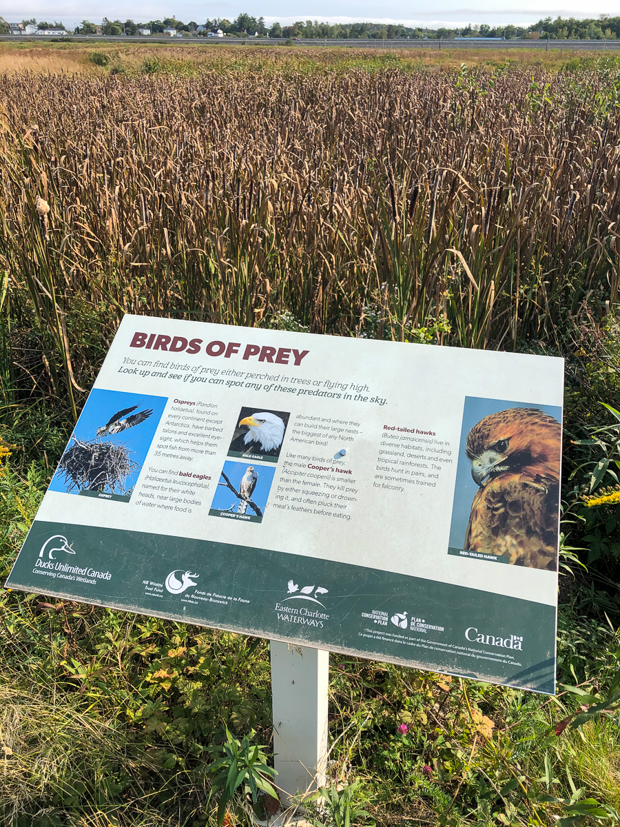 Birds of Prey sign
