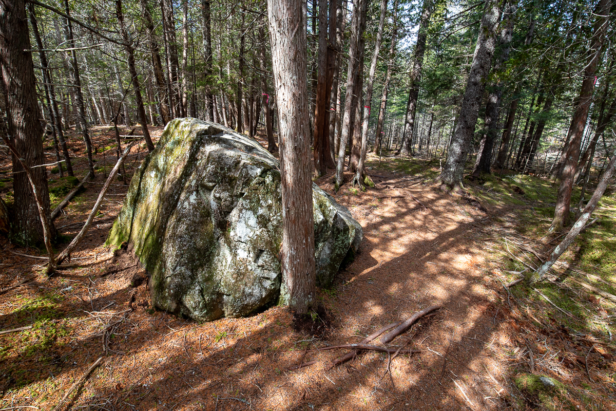 Boulder on the St. Paddys Falls Trail