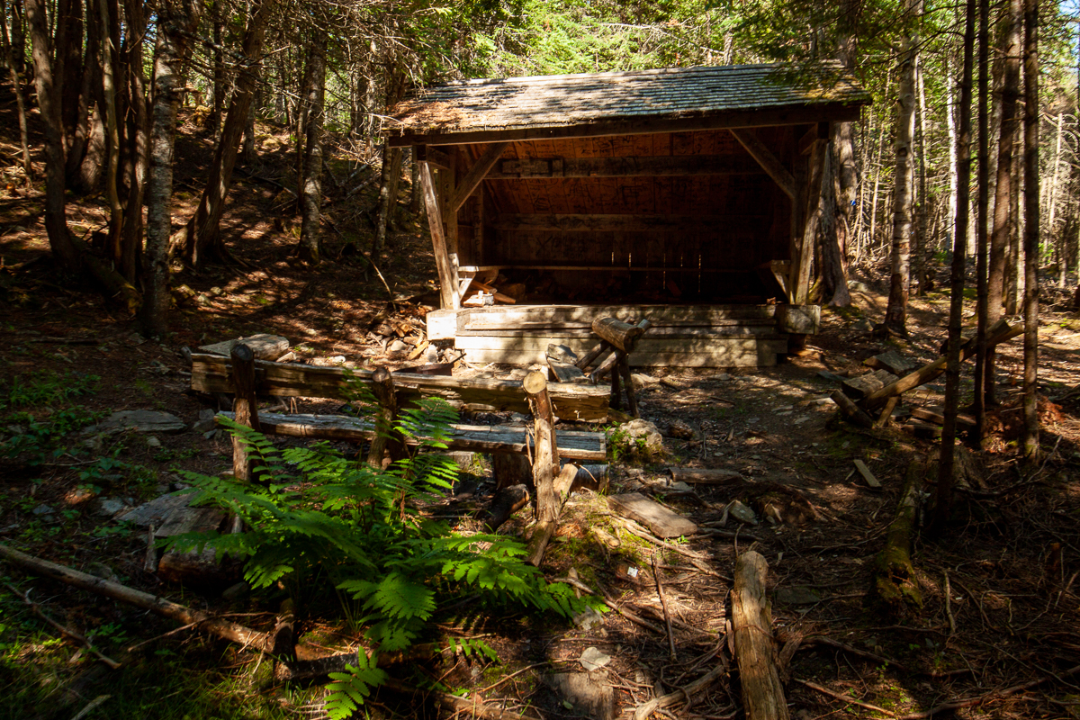 A shelter on the Alex Creek Trail at Mactaquac Provincial Park