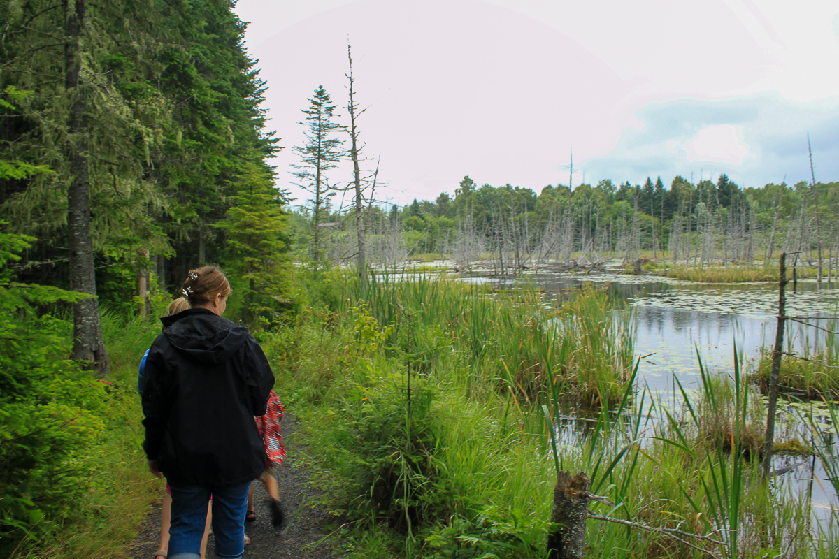 The Beaver Pond Trail at Mactaquac Provincial Park