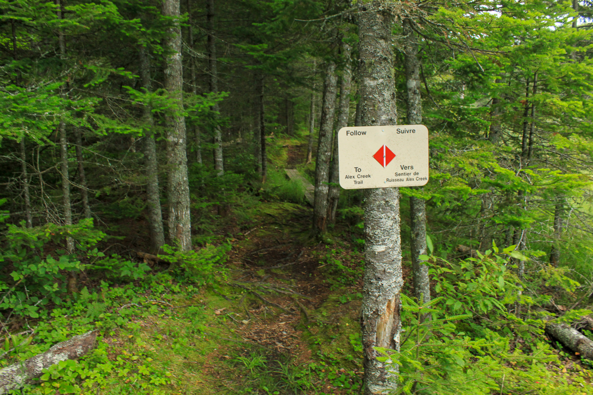A trail sign at the start of the Beaver Pond to Alex Creek Connecting Trail at Mactaquac Provincial Park