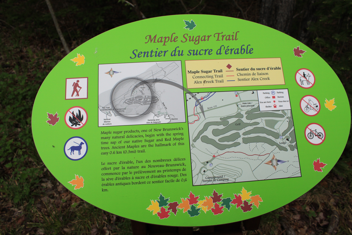 Trail sign for the Maple Sugar Trail at Mactaquac Provincial Park
