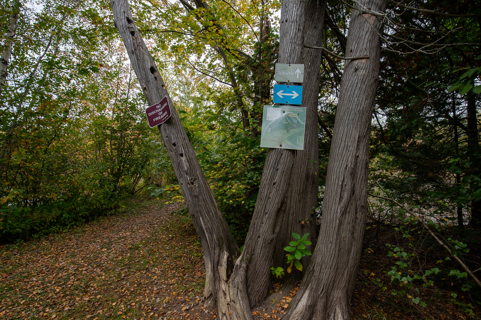 The signs at the trail junction with the River Trail