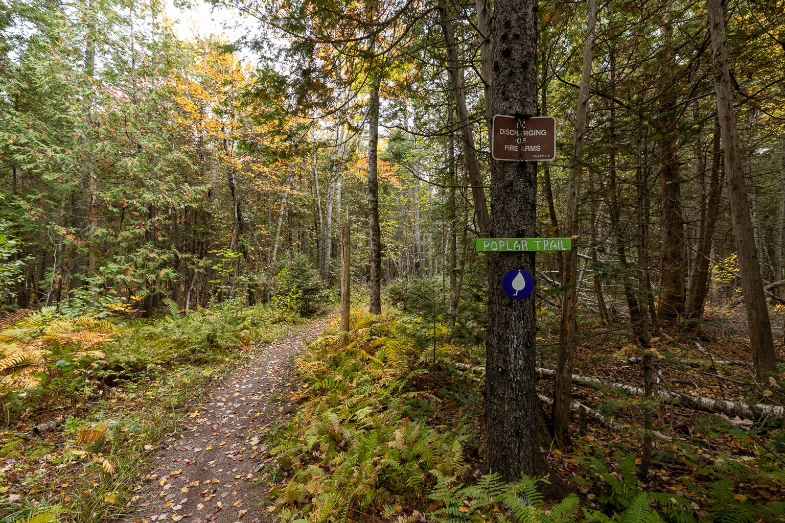 The signs at the start of the Poplar Trail at Deer Park in Oromocto