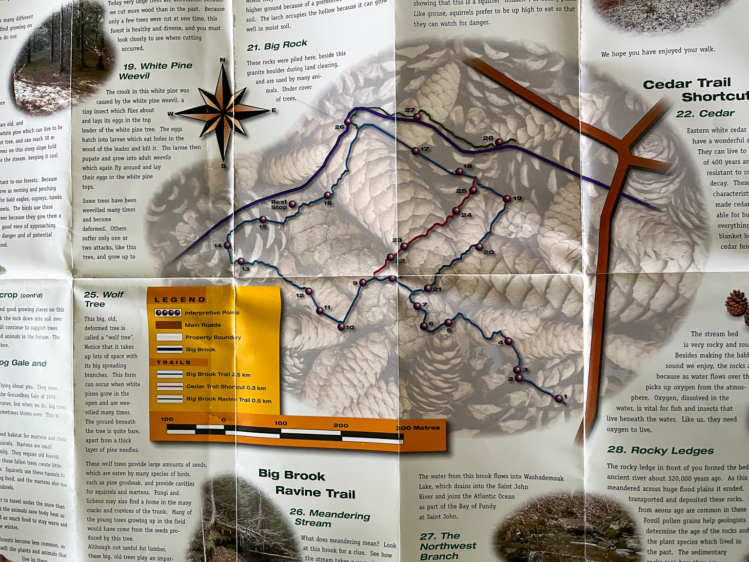 An old brochure of the Robinson Trail that explains each of the points of interest throughout the trail
