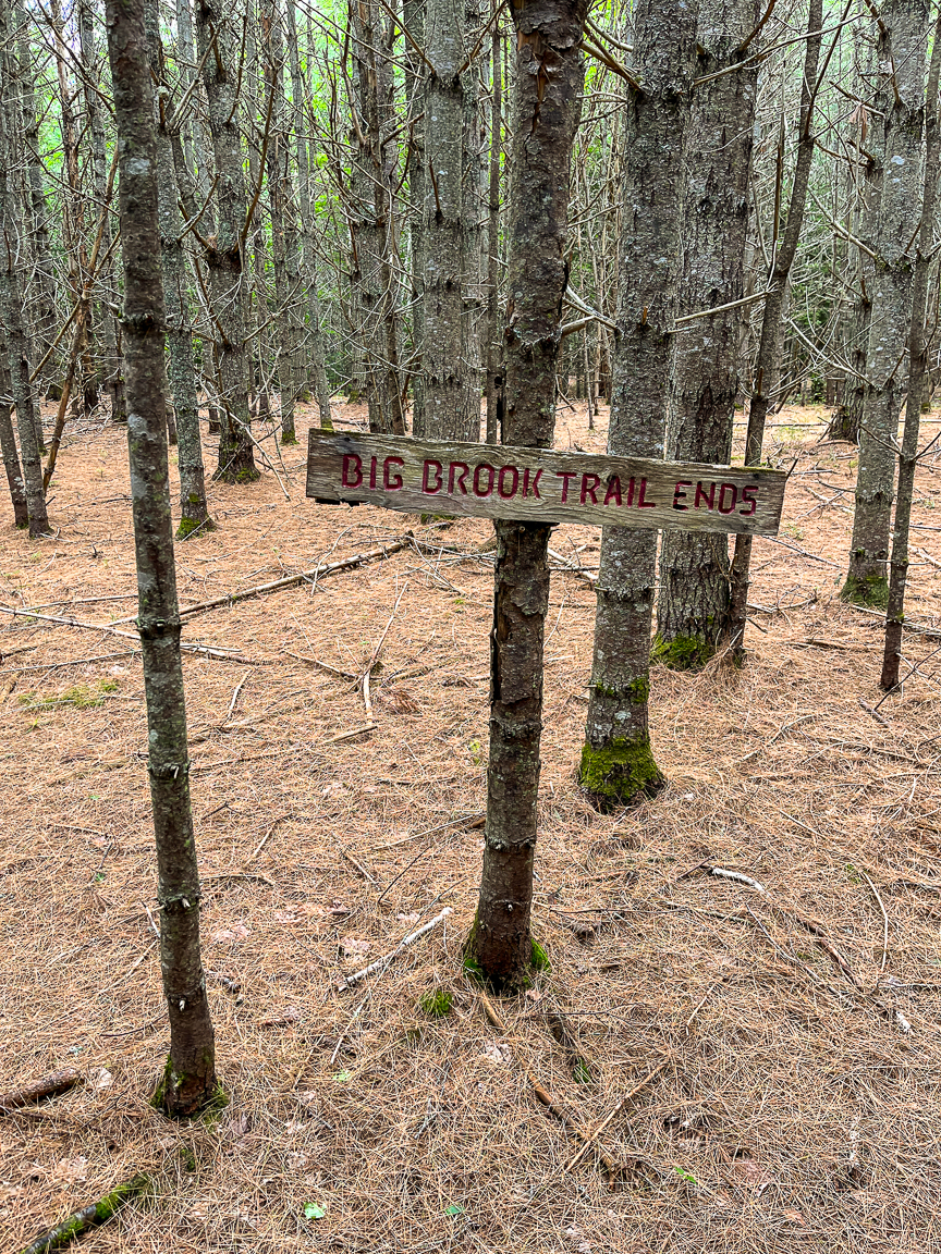 A sign marking the end of the Big Brook Trail