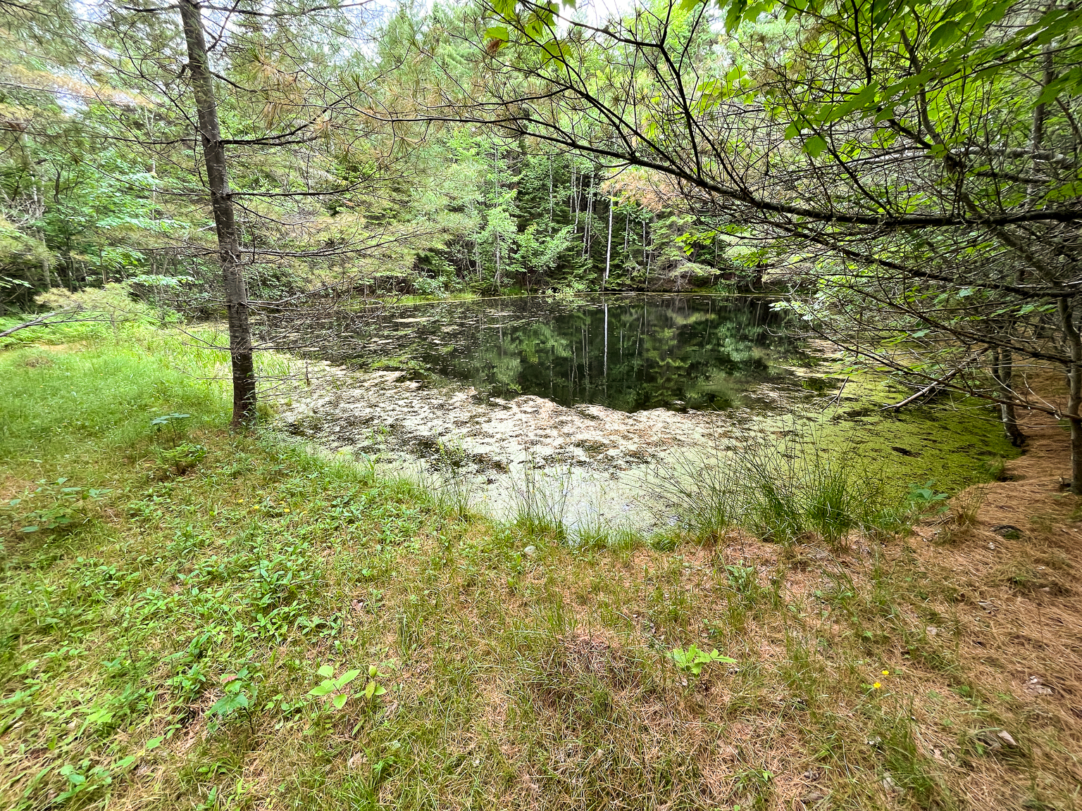 The Dug Pond