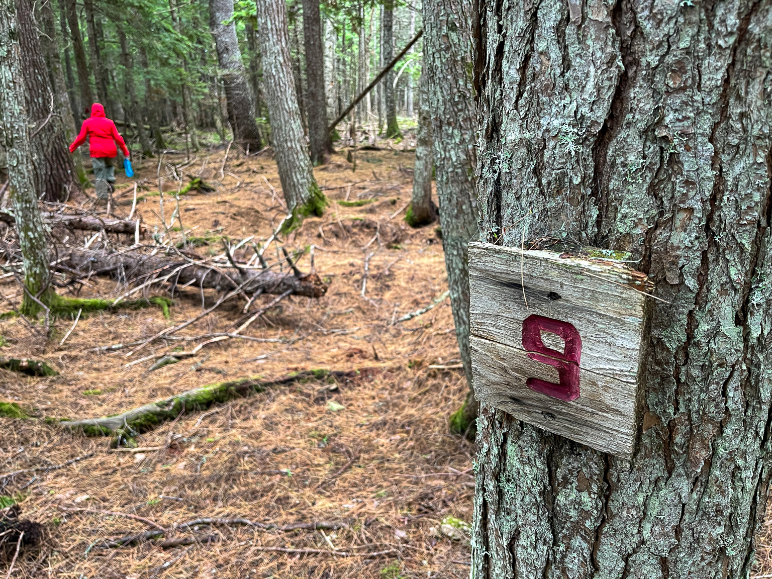 A point of interest on the Robinson Trail