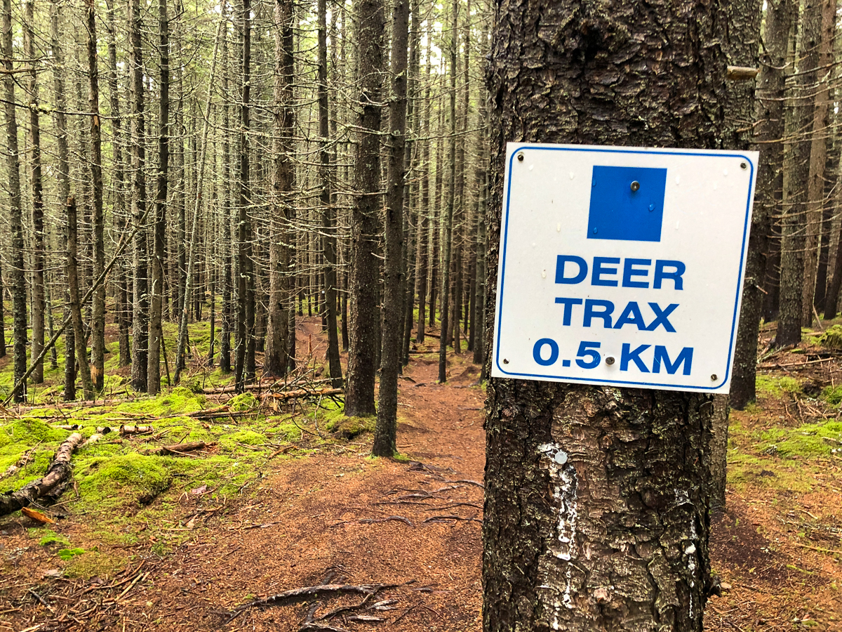 Deer Trax trail sign
