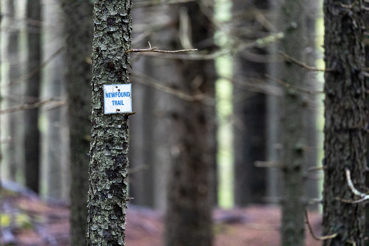 Newfound Trail sign