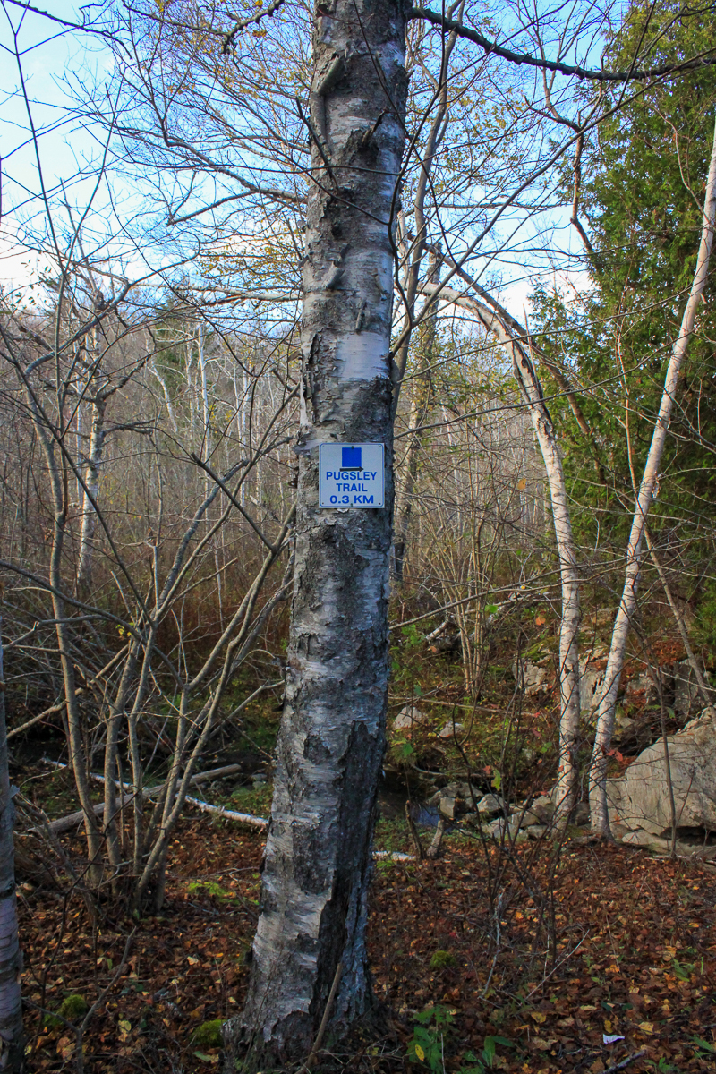 Pugsley Trail sign