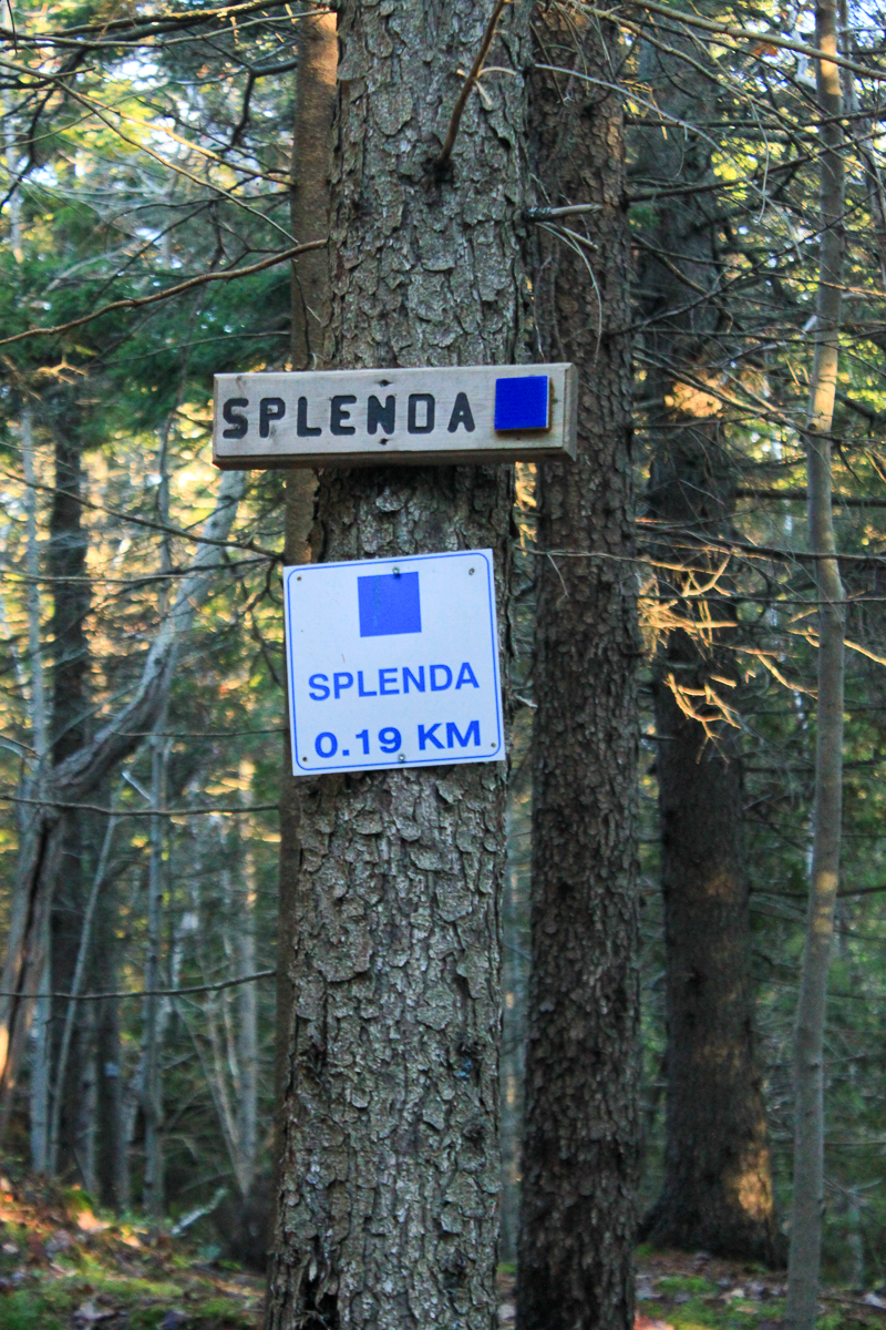 Splenda Trail
