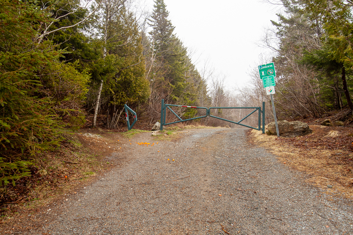 Access to the Trans Canada Trail in Rockwood Park