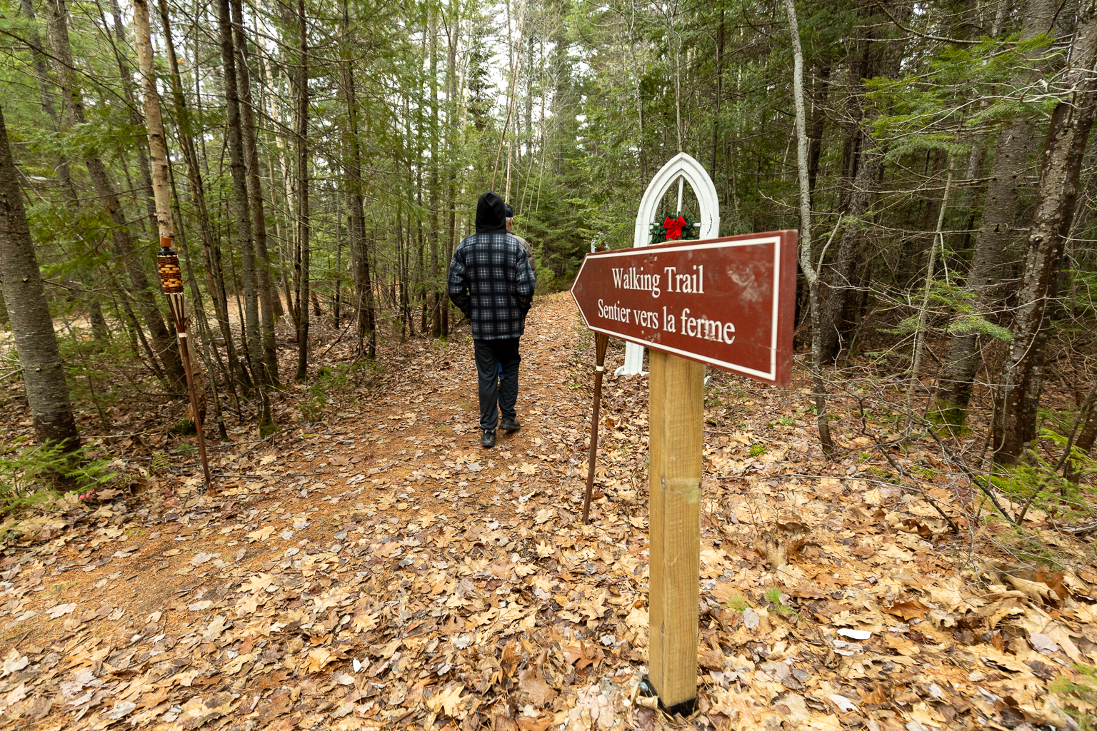 The start of the walking trail at MacDonald's Farm in Miramichi