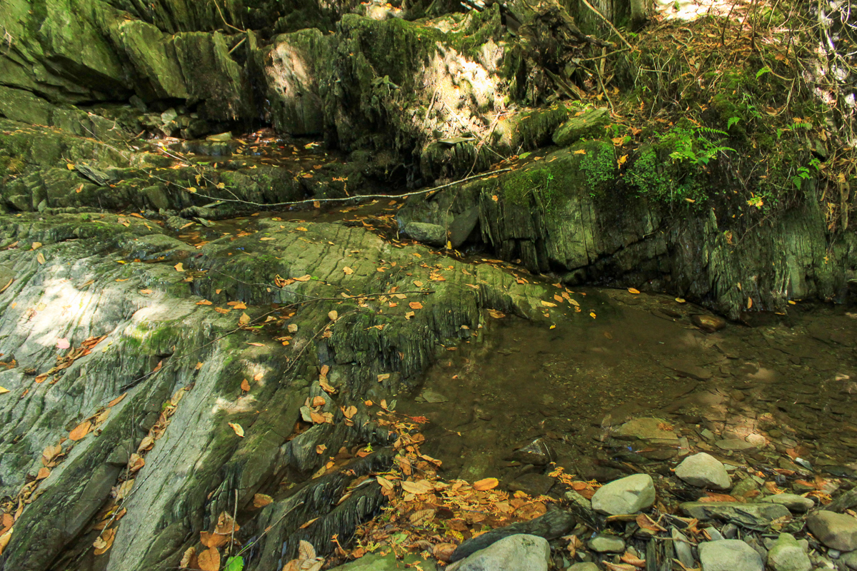 Banded rocks on the Purple Trail at Meduxnekeag Valley Nature Preserve
