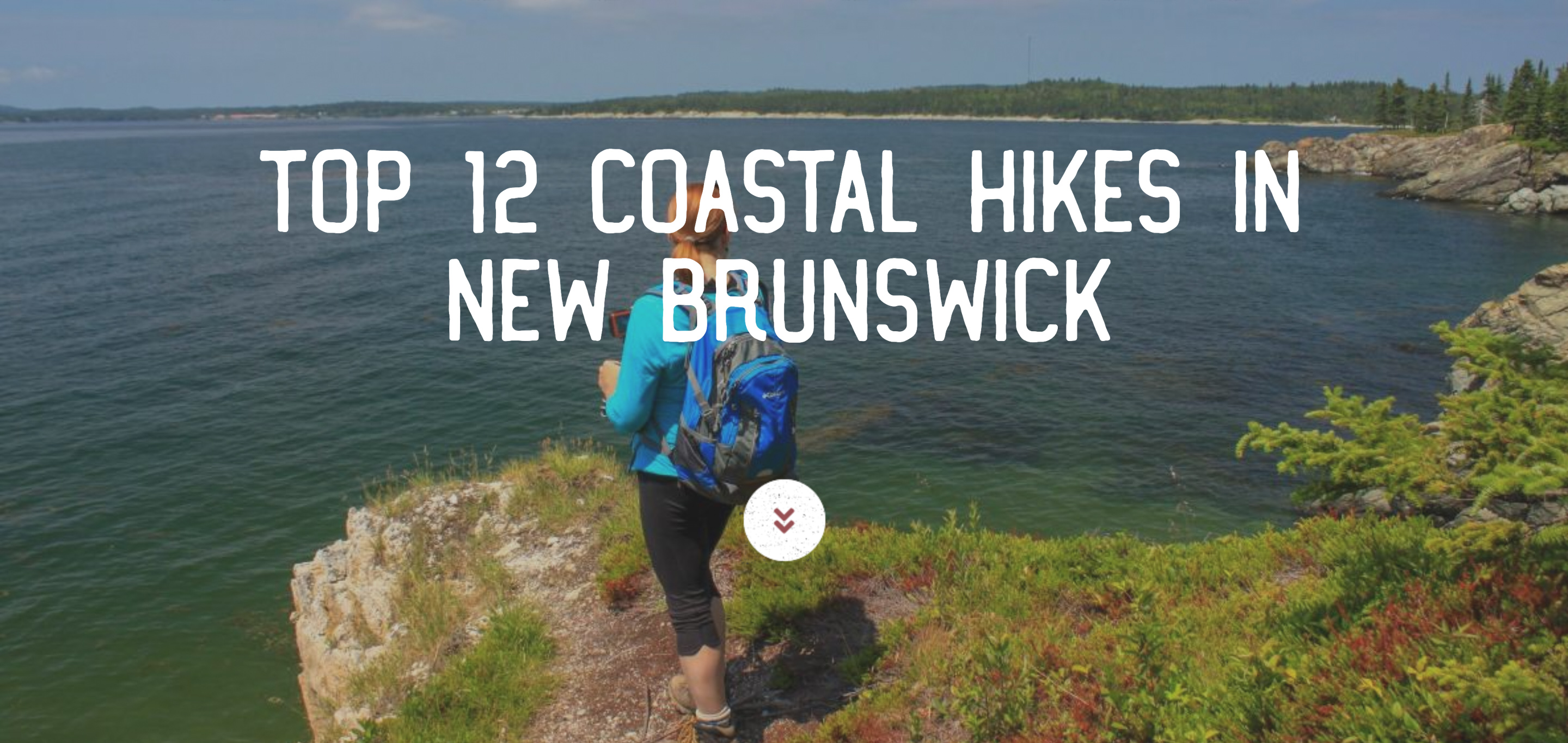 Top 12 Coastal Hikes Blog Post